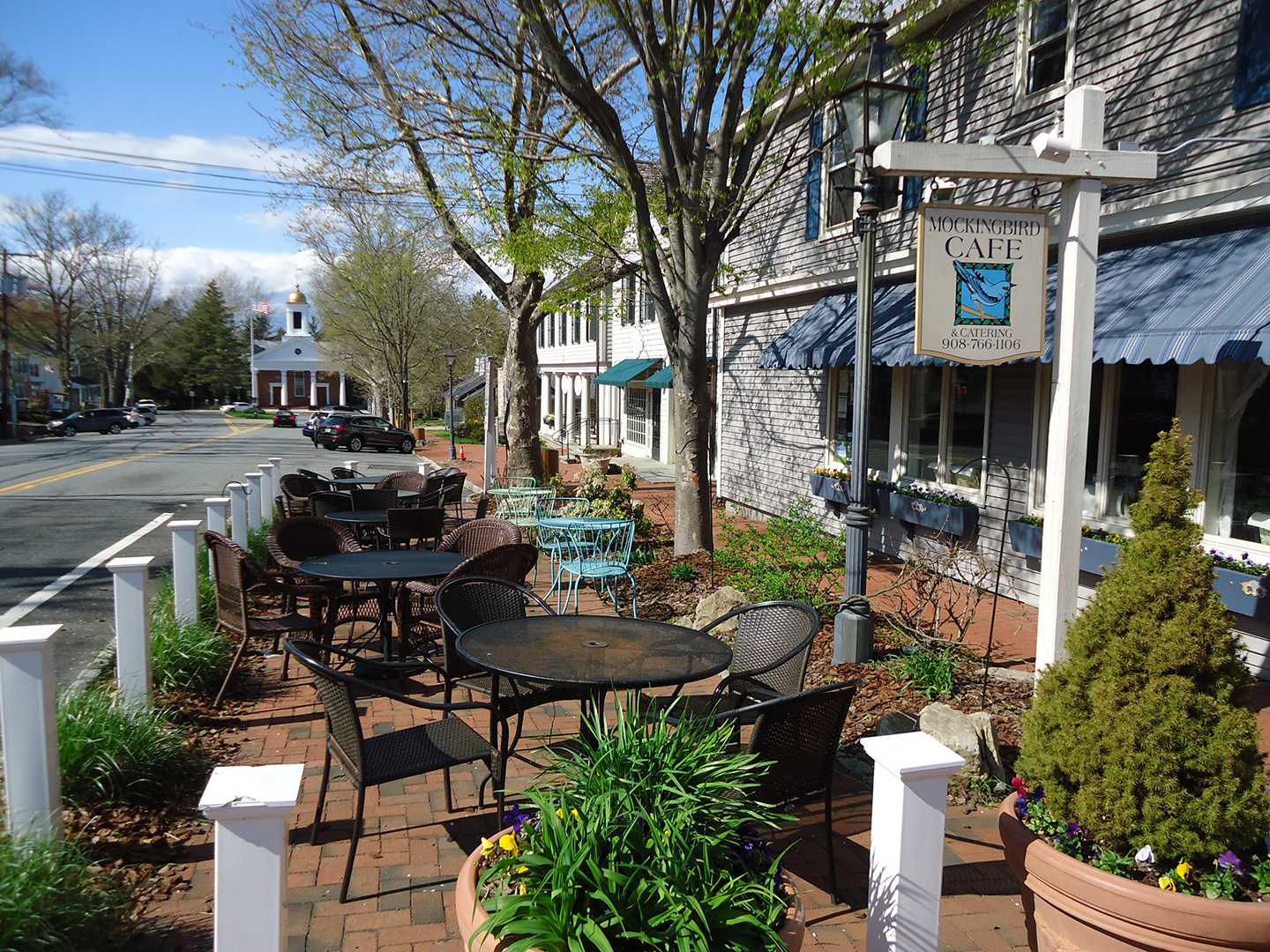 Street_scene_Basking_Ridge_New_Jersey_plants_and_shops